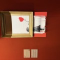 Bansky Unhautorized Torino Palazzo Barolo 08