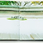 Giappone, Kyoto, il tempio Ryoan ji