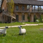 Les Lalanne à Trianon   brebis agneau mouton série des nouveaux moutons2