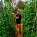 Mike Savas   un momento della sua esperienza da contadino in Toscana