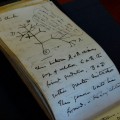 Taccuino di Darwin ricercato dai librai antiquari tra il 2020 e il 2022